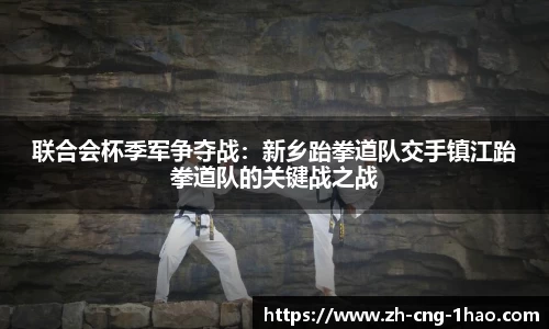 联合会杯季军争夺战：新乡跆拳道队交手镇江跆拳道队的关键战之战